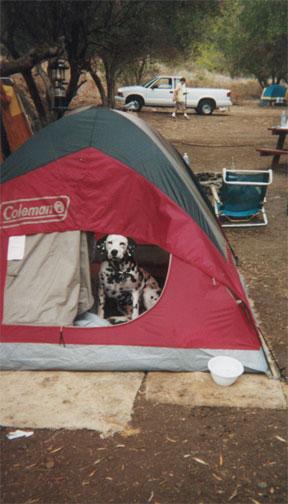 AnyLou_ChillinInTheTent.jpg